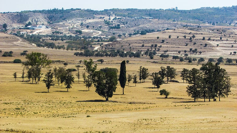 Valley, Trees, Landscape, Summer, scenery, rural, countryside HD wallpaper