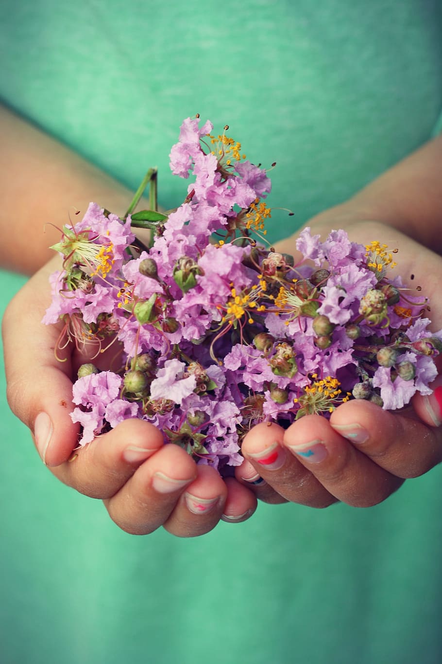person holding purple flowers with two hands, child, rustic HD wallpaper