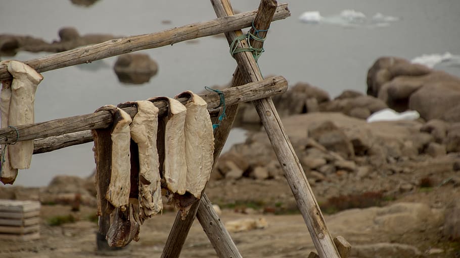 fish, catch, drying fish, wood, wooden, racks for drying fish HD wallpaper