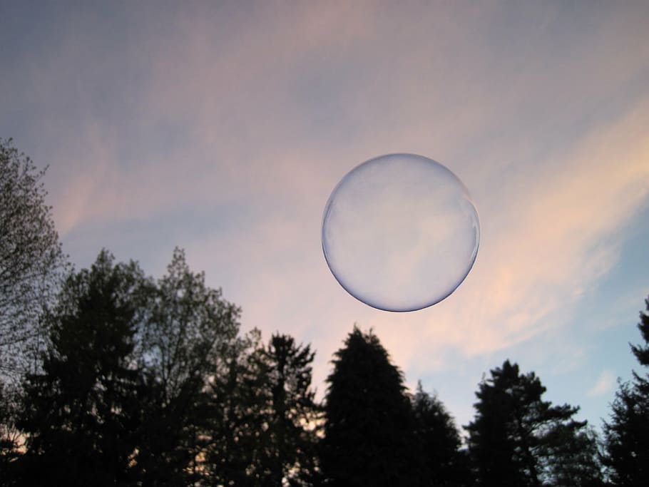 bubble flew in mid air, soap bubble, shimmer, sky, trees, forest HD wallpaper