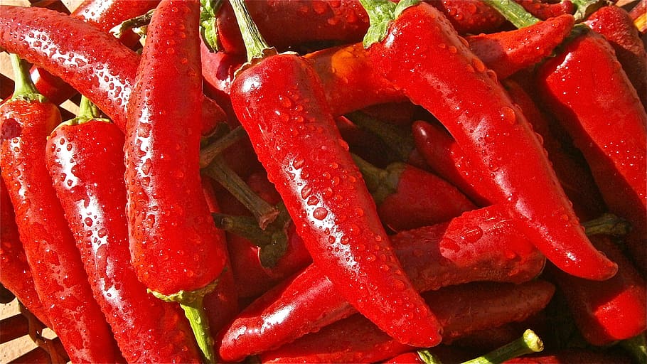 Red Chili, chili peper, food, vegetables, wet, food and drink, HD wallpaper
