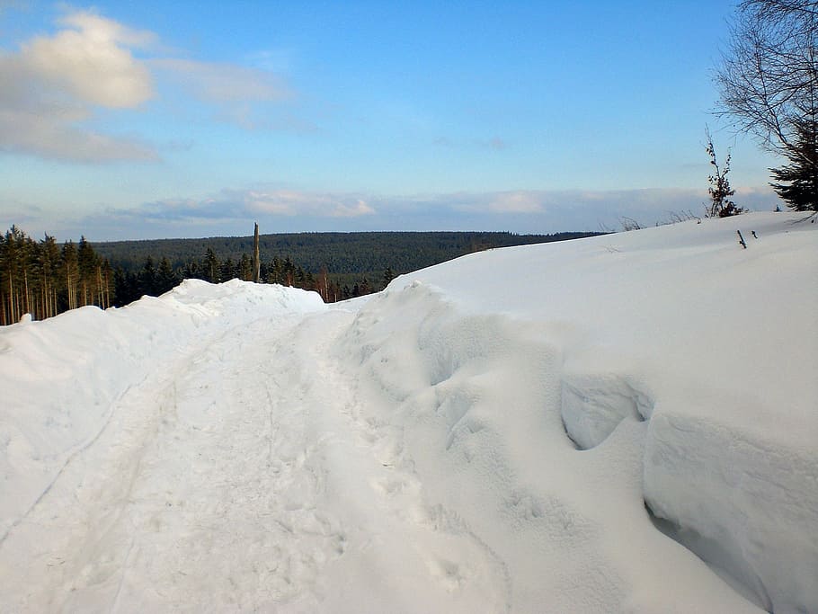 wintry, snow, winter magic, nature, cold - Temperature, frost HD wallpaper