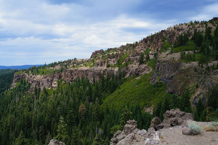 Nature, Forest, Cliffs, Landscape, outdoor, environment, natural HD wallpaper