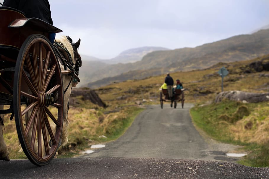 horse carriage on grey concrete road at daytime, ireland, gap of dunloe