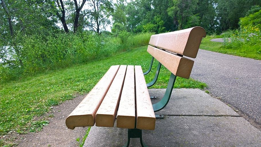 bench, park, grass, tree, outdoor, peaceful, outdoors, nature HD wallpaper