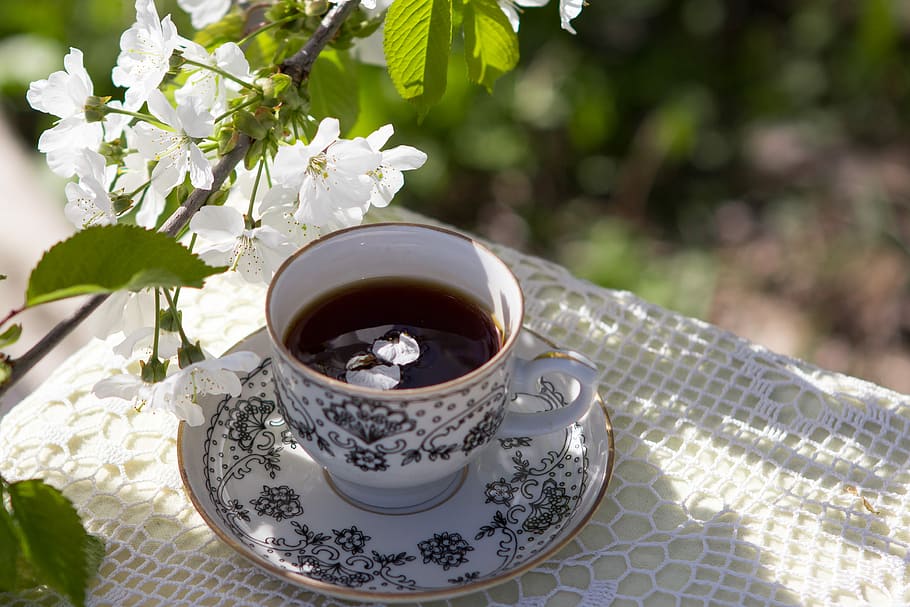 white and blue ceramic mug with black liquid, spring, cup, drink HD wallpaper