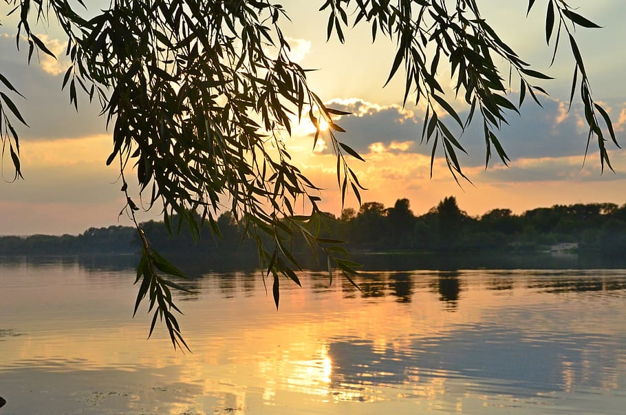 willow, river, clouds, sky, sunset, summer, evening river, water HD wallpaper