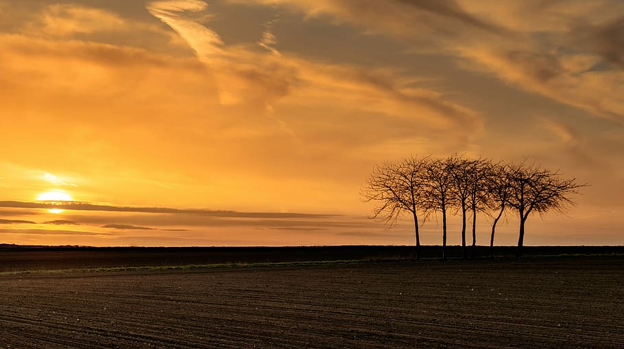 sunset, dawn, nature, dusk, evening, sky, landscape, silhouette HD wallpaper