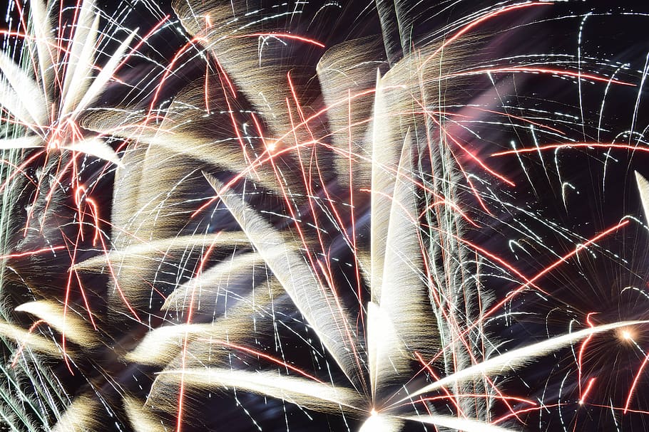 fireworks display, red, violet, black, night, firework display HD wallpaper