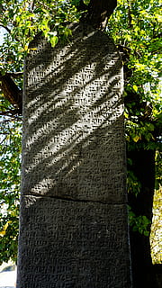 Cuneiform, Script, Ancient, Archeology, asia, column, inscription HD wallpaper