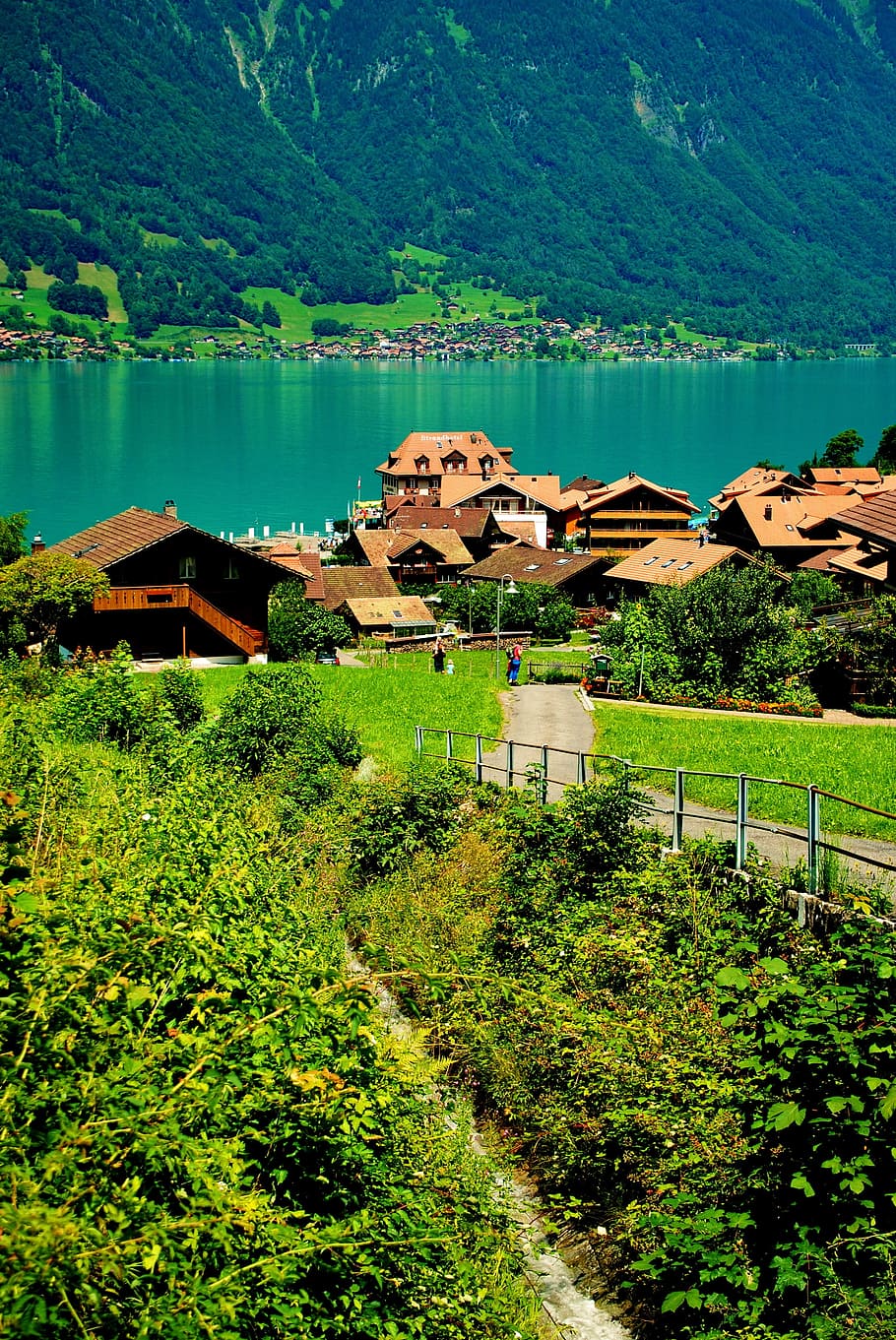 Europe, Swiss, Lake, water, high angle view, house, mountain, HD wallpaper