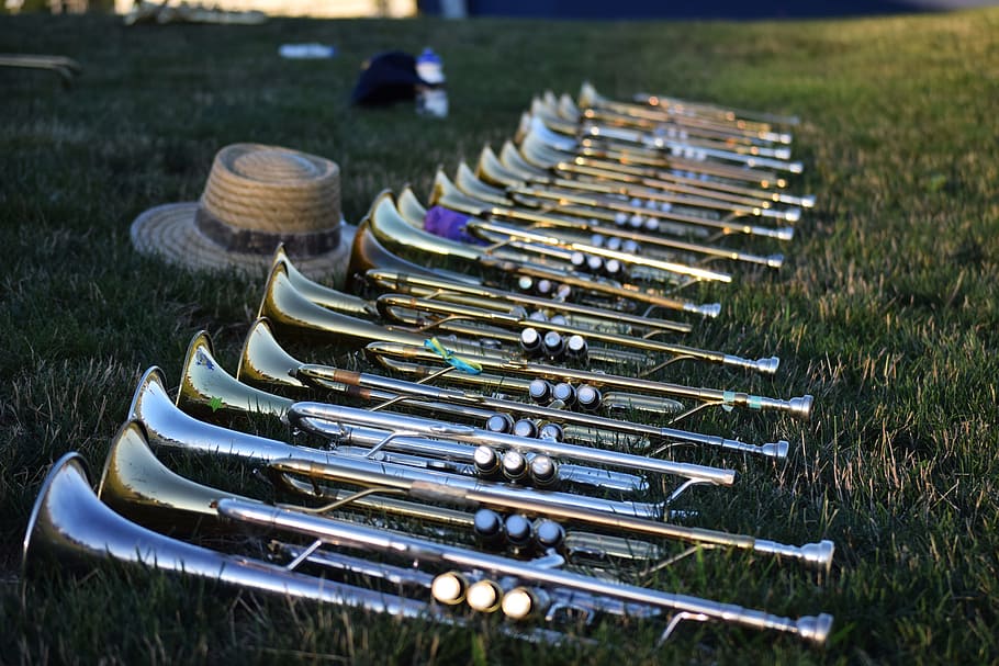 music, musical instruments, horns, brass, band, marching, grass