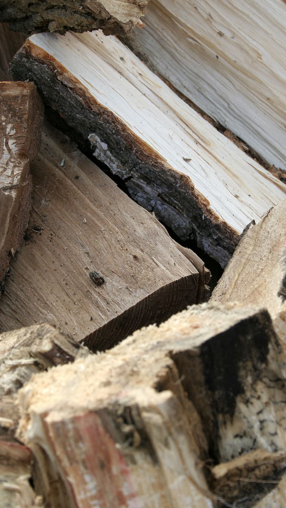 Tree, Stack, Wood, Nature, Firewood, pile of wood, background HD wallpaper