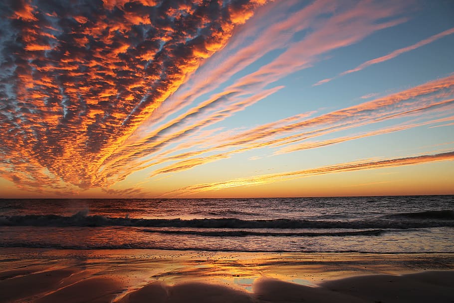 silhouette of seashore during golden hours, sunset, beach, ocean HD wallpaper