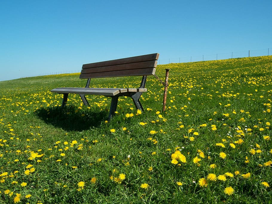 Field of dreams 1080P, 2K, 4K, 5K HD wallpapers free download