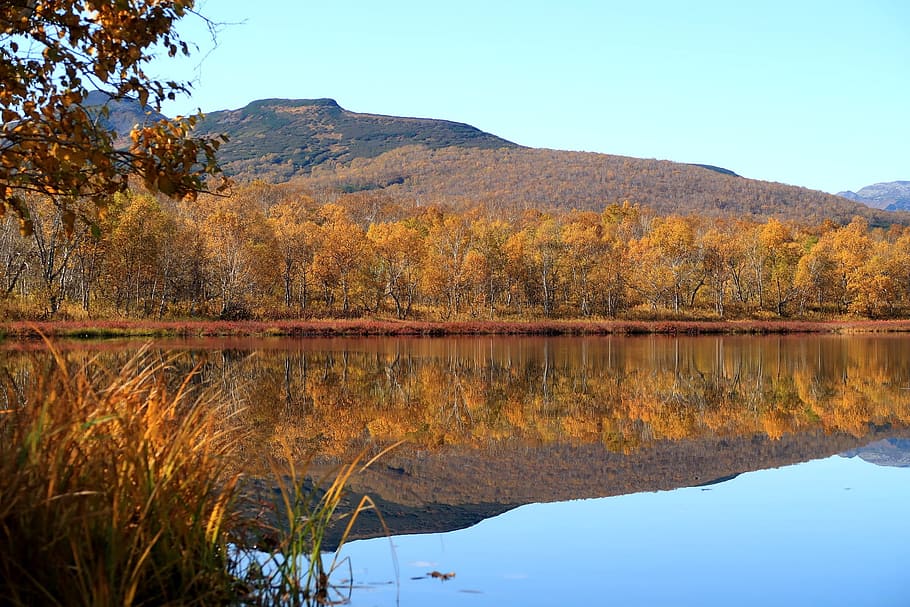 autumn, lake, mountains, reflection, forest, golden autumn HD wallpaper
