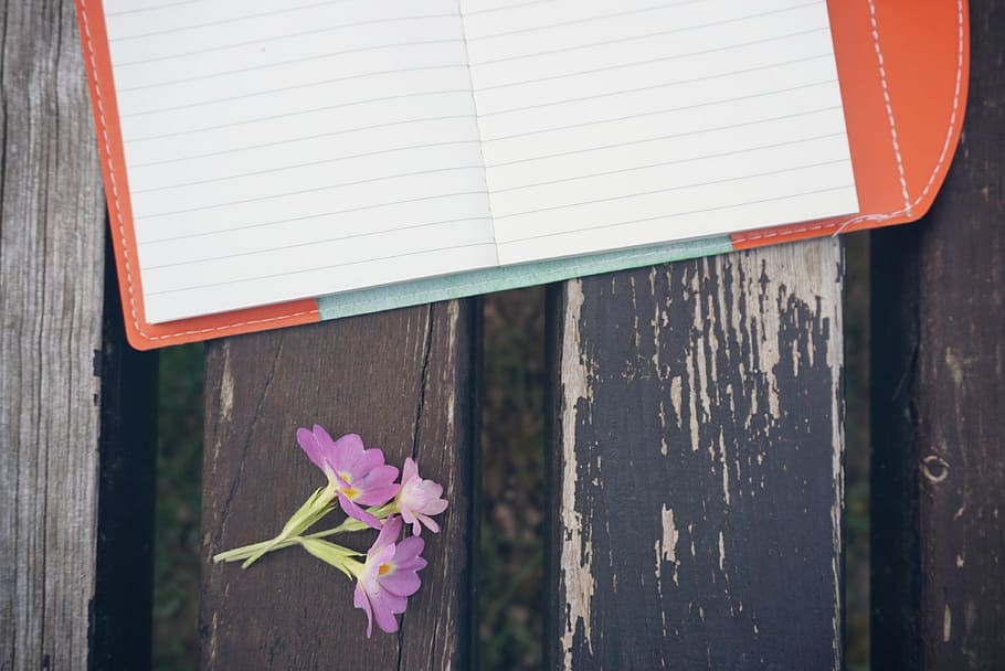 purple petaled flower beside white printer paper, bench, notebook HD wallpaper