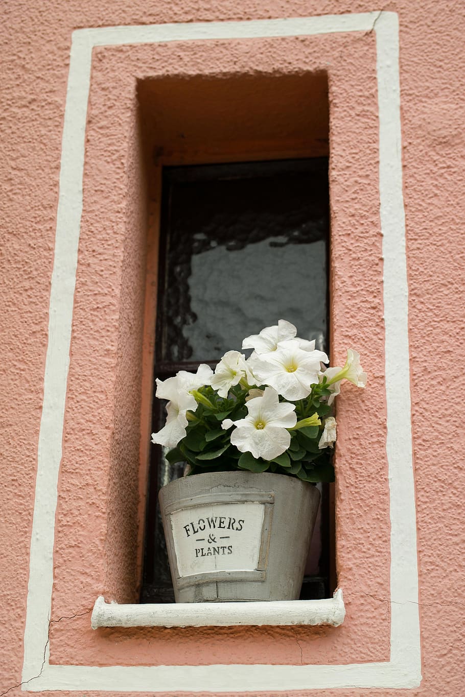 window, flowers, home, facade, window sill, home front, pink HD wallpaper