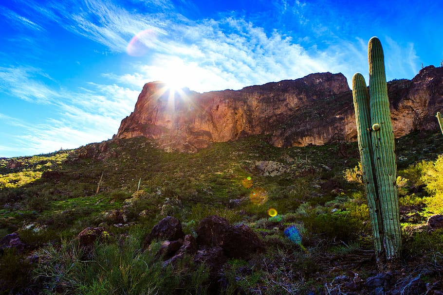 cactus, cliff, clouds, grass, hill, landscape, light, outdoors HD wallpaper