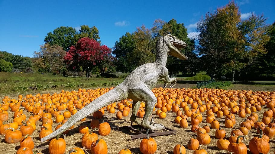 pumpkin, dinosaur, autumn, tree, plant, nature, no people, orange color HD wallpaper