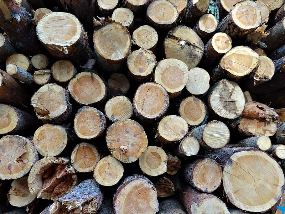 background, tribe, pile, wood, holzstapel, stack, log, nature HD wallpaper