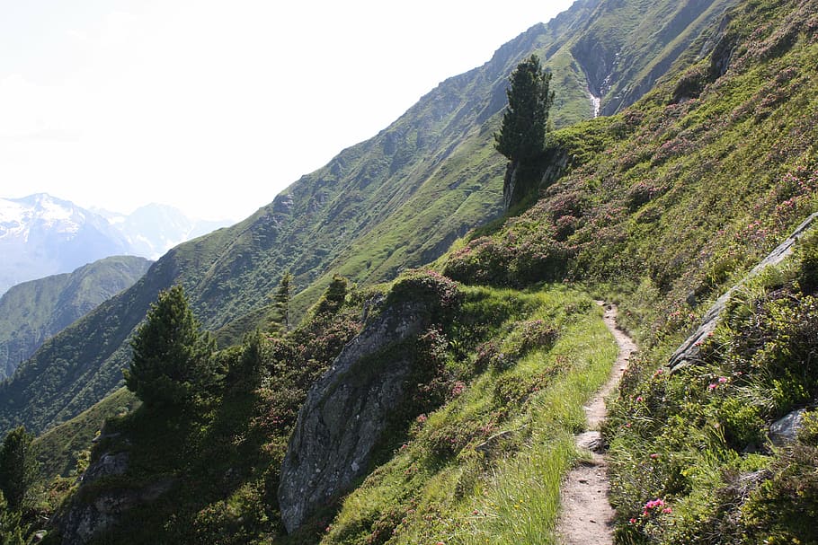 mountain, view, away, path, berliner höhenweg, gams hut, zillertal HD wallpaper
