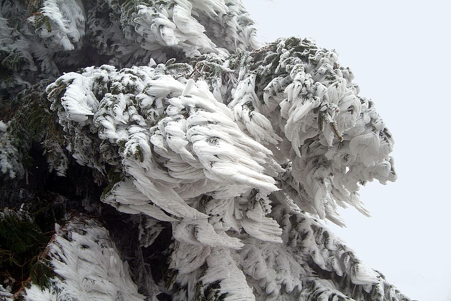 winter, snow, wintry, hochrhoen, wasserkuppe, rhön winter HD wallpaper