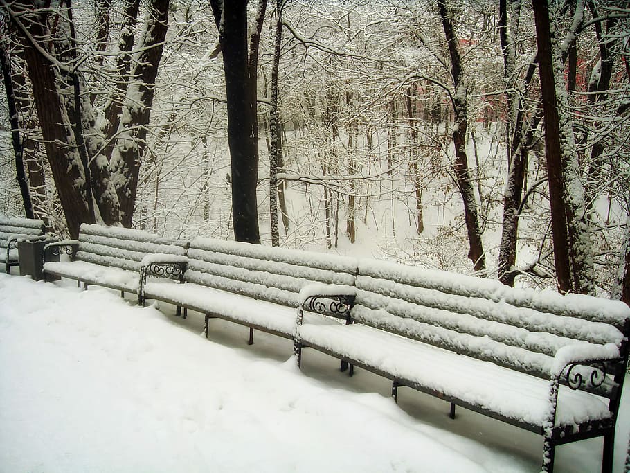 Park, Benches, Snow, Ice, Winter, trees, nature, outside, scenic HD wallpaper