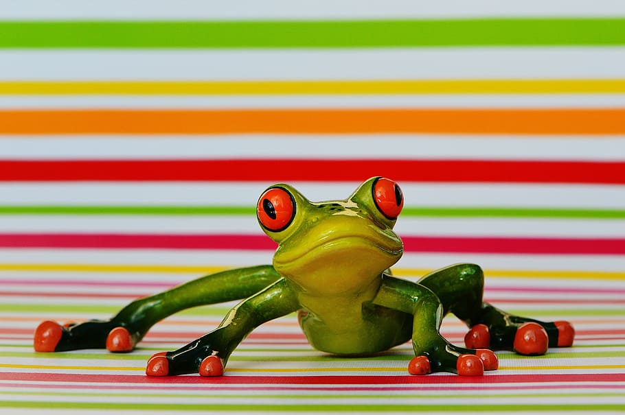 frog, funny, figure, cute, animal, green, sweet, frog eyes HD wallpaper
