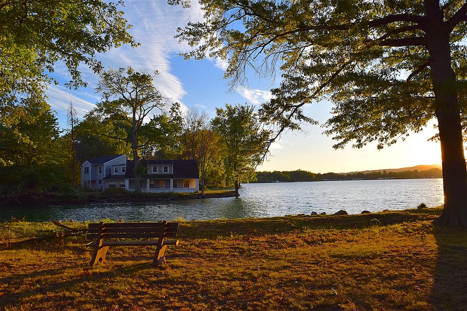 sunset, tree, lake, autumn, bench, light, sunlight, shadow HD wallpaper