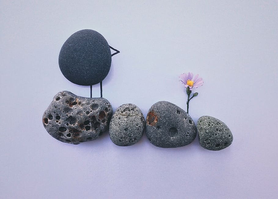 grey pebbles and pink aster flower, rock, art, craft, bird HD wallpaper