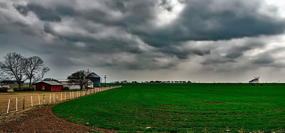barn beside farm, texas, ranch, field, crop, agriculture, panorama HD wallpaper