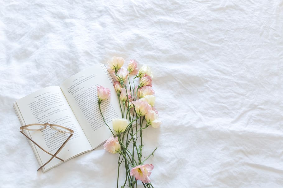 flowers, petals, roses, book, blanket, bloom, blooming, blossom HD wallpaper