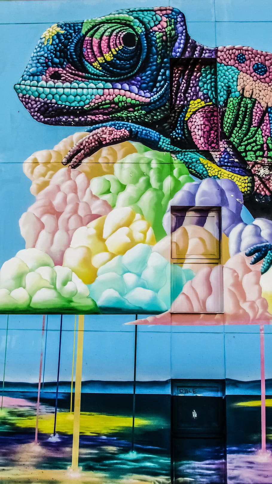 chameleon, graffiti, colour, wall, hotel, colourful, cyprus HD wallpaper