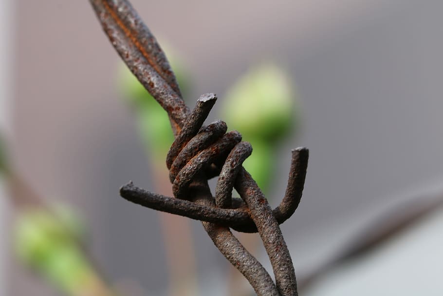 wire, barbed wire, rusty, warning, fence, wound, tabu, boundary HD wallpaper