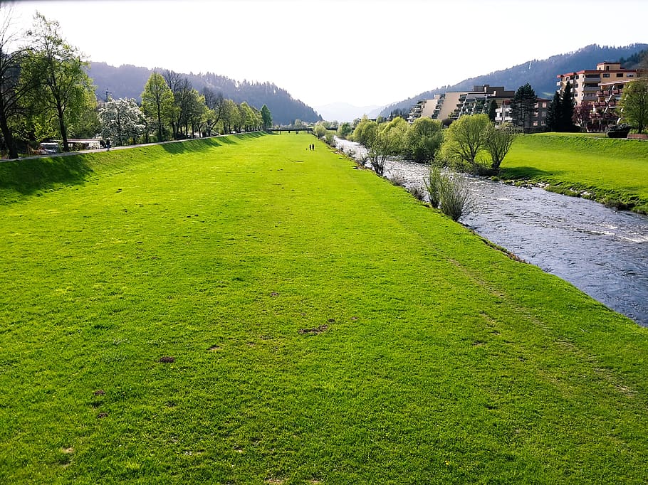 meadow, water, homes, trees, valley, haslach, ortenau, kinzig HD wallpaper