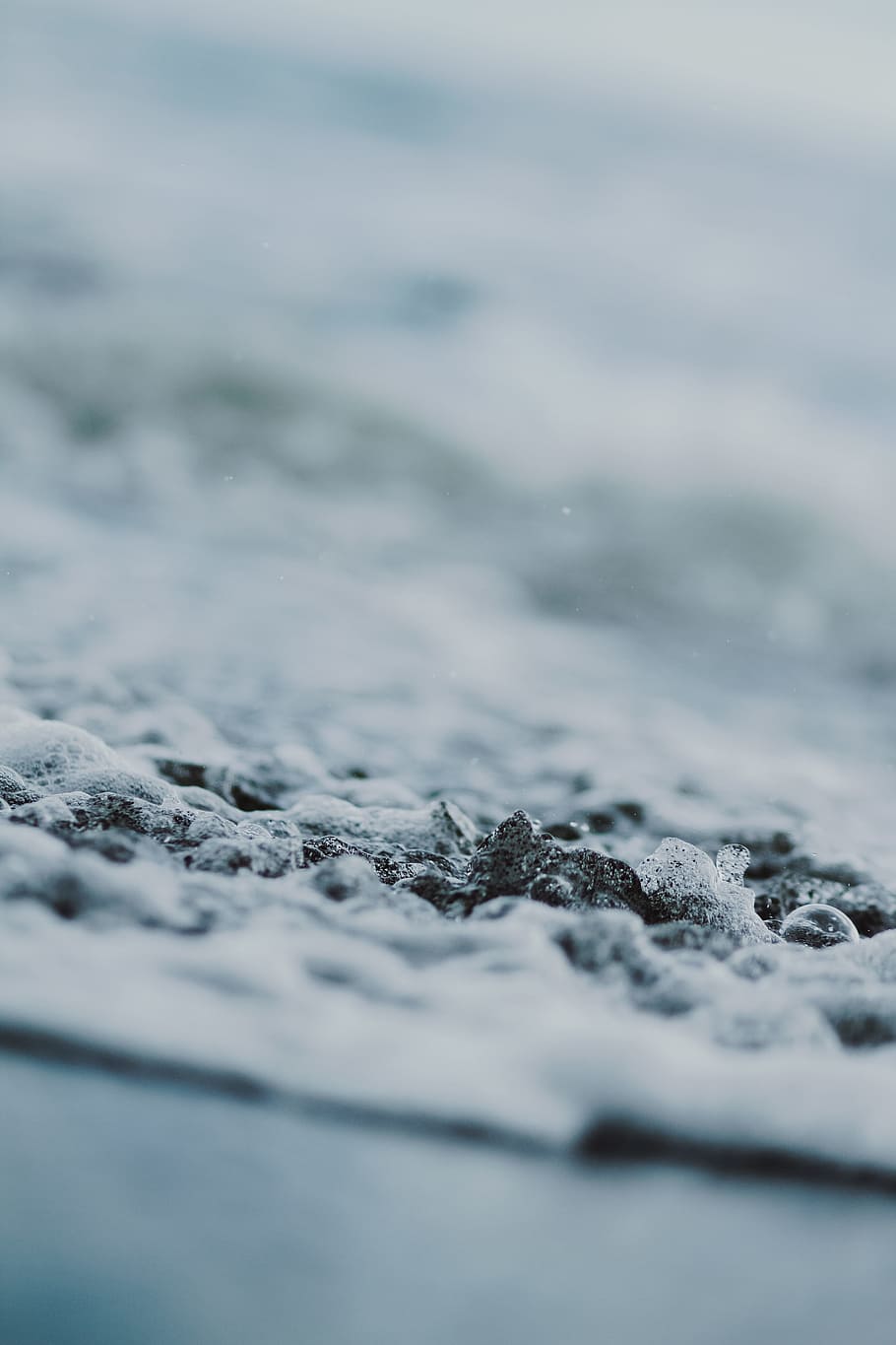 selective focus photography of water bobbles, macro photography HD wallpaper
