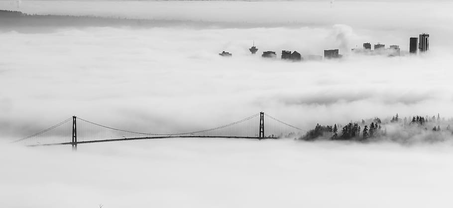 landscape photo of bridge covered with fog, grayscale photography of bridge covered with fogs HD wallpaper
