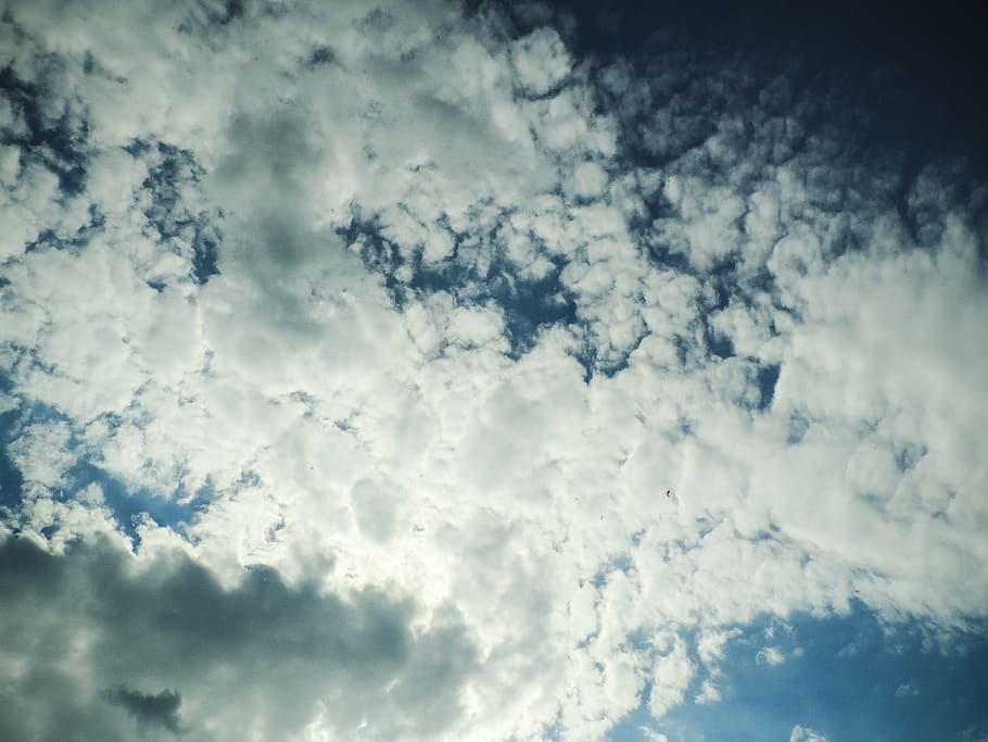clouds, sky, the background, view, blue, white, cloud - sky HD wallpaper