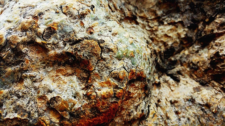 tree bark, wood, texture, rough, old, lumber, textured, tree trunk HD wallpaper