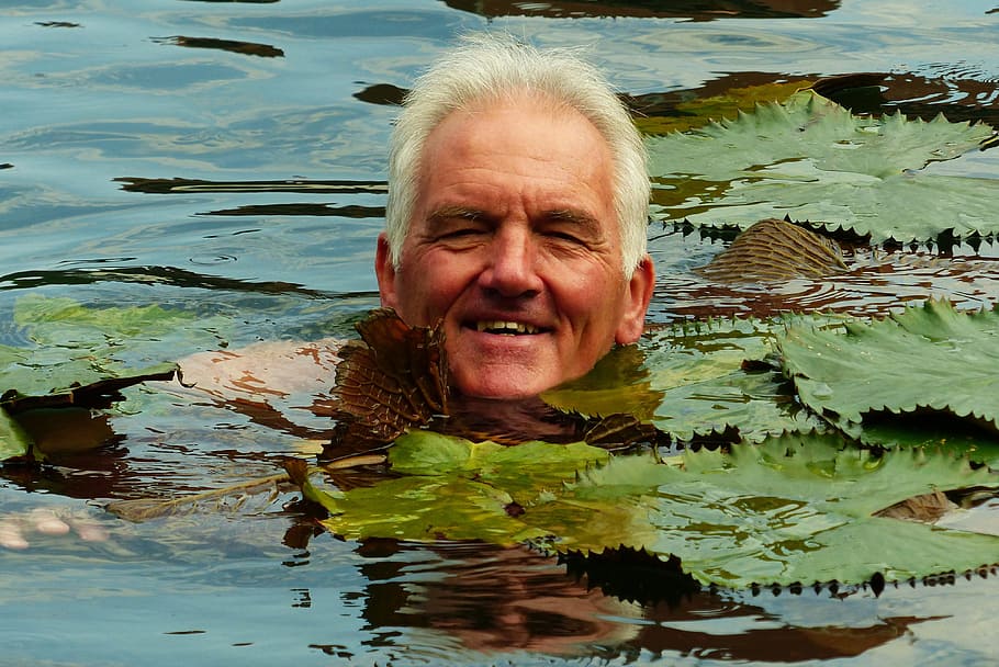 man smiling while in swamp, white lily, neptune, portrait, heviz, HD wallpaper