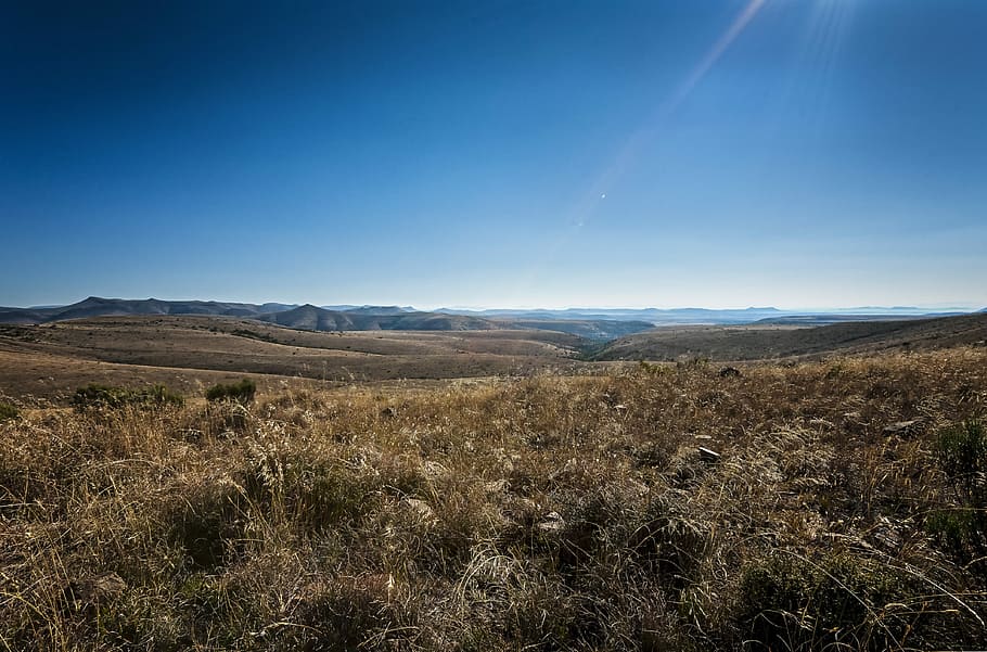 grass, view, summer, nature, mountains, landscape, sunny, blue HD wallpaper