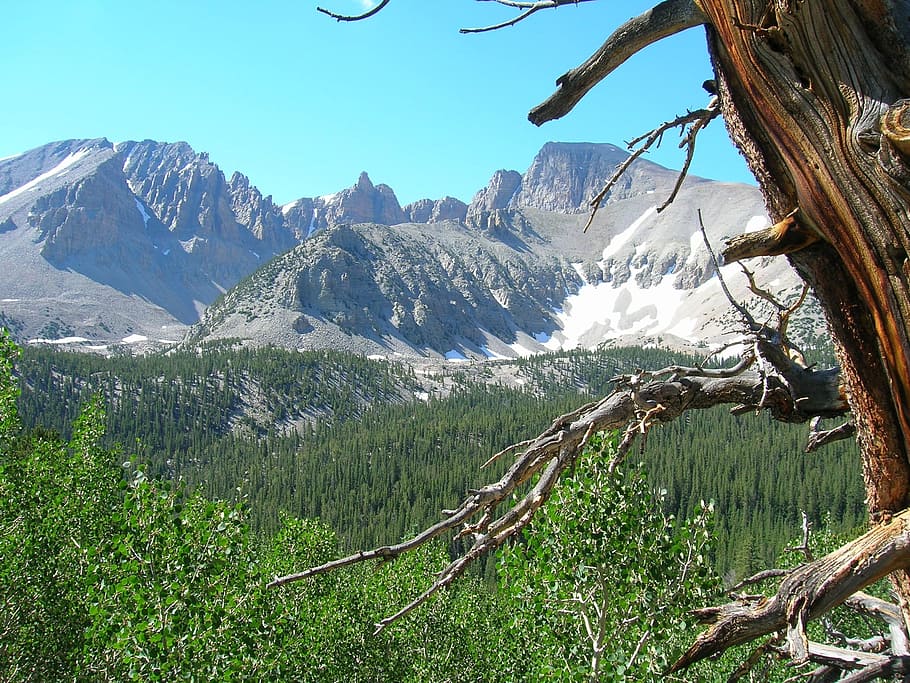 nevada, mountains, valley, forest, trees, nature, outside, summer HD wallpaper
