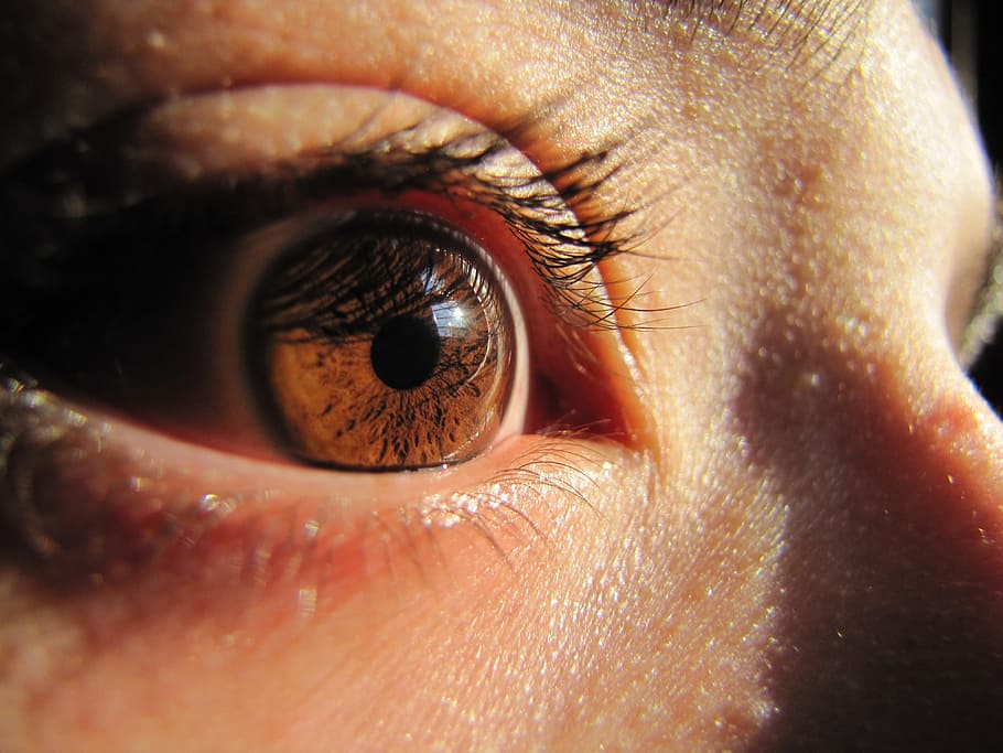 eye, macro, szupermakró, iris, watch, eyelash, skin, human eye, HD wallpaper