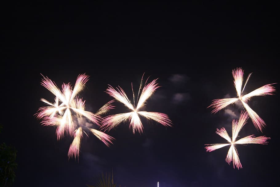 fireworks, explode, explosion, pyrotechnics, party, july, anniversary HD wallpaper