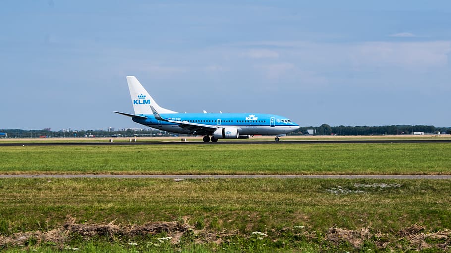 blue and white airplane, Schiphol, Klm, Blue, Royal, airline