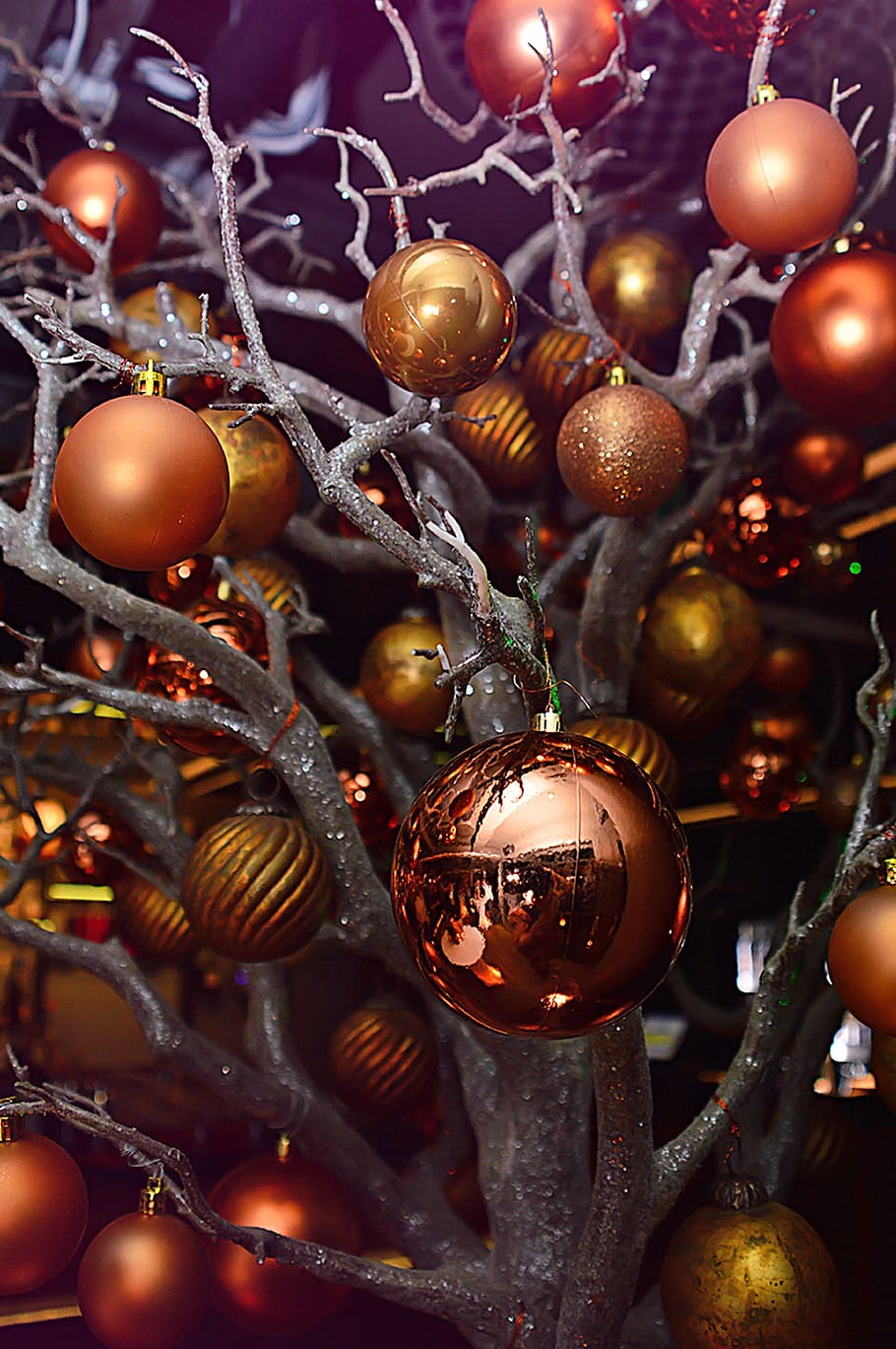 selective focus photography of assorted-color bauble lot hanged on tree HD wallpaper