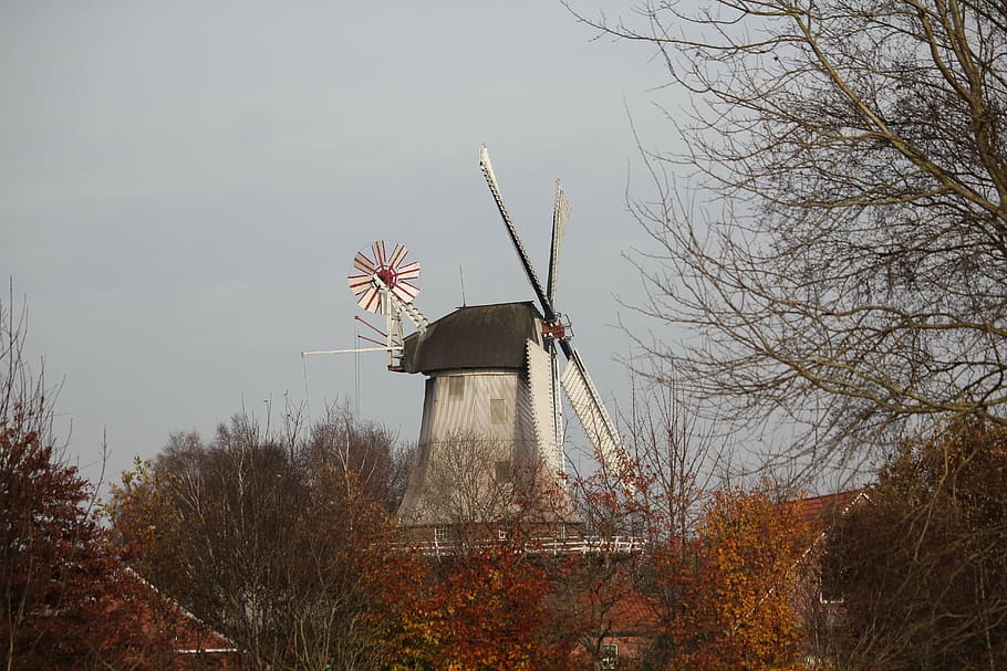 mill, windmill, autumn, wing, building, flour mill, meadow HD wallpaper