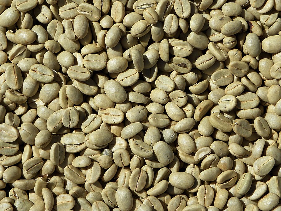 bunch of brown nuts, green coffee, coffee beans, arabica, costa rica