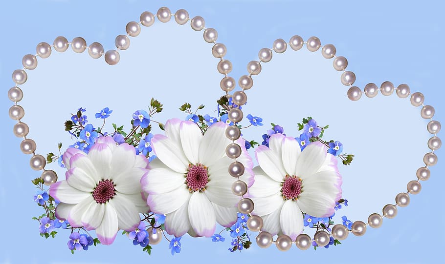 decoration, flower, card, jewelry, necklace, pearl jewelry HD wallpaper